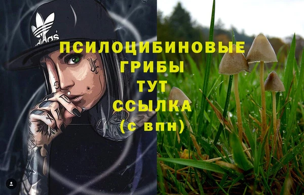 меф VHQ Богданович