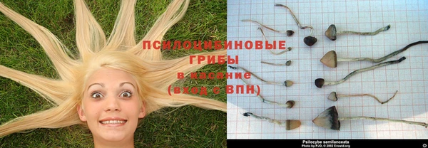 амфетамин Богородск