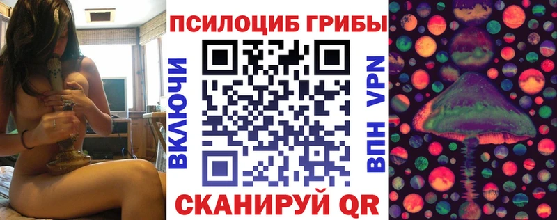 Купить где  Стрежевой  Галлюциногенные грибы прущие грибы 